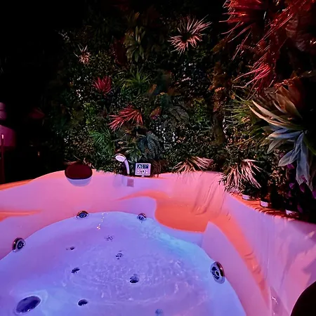 Jungle évasion, - Jacuzzi&sauna Appartement Épernay