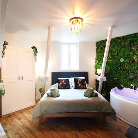 아파트 Jungle Evasion, - Jacuzzi & Sauna 에페르네이